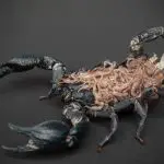 how do scorpions reproduce?