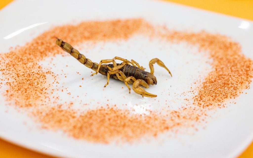 can you eat a scorpion?